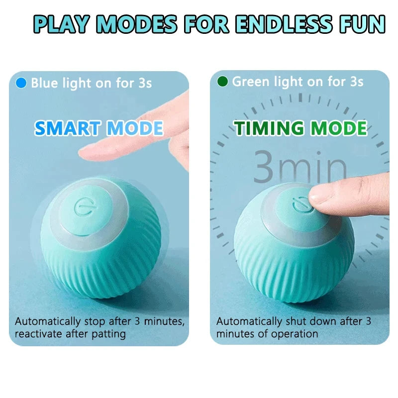 Smart Magic Ball for Cats