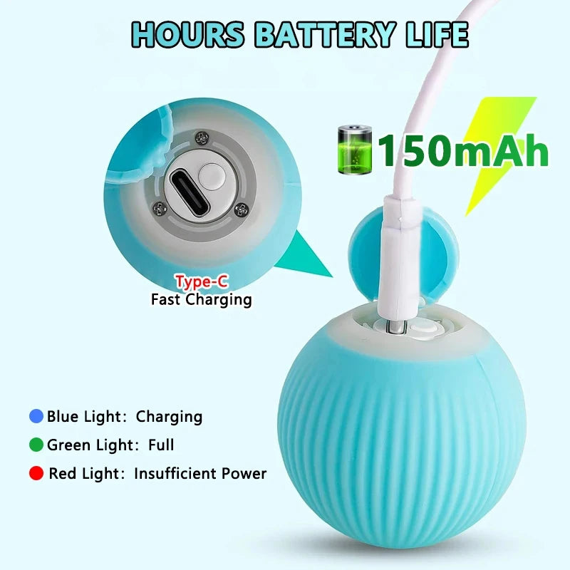 Smart Magic Ball for Cats