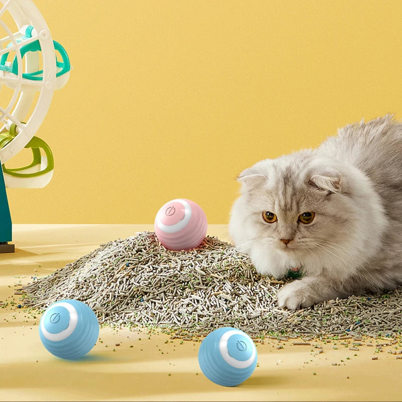 Smart Magic Ball for Cats